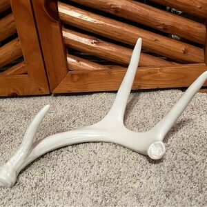 White Antler decor